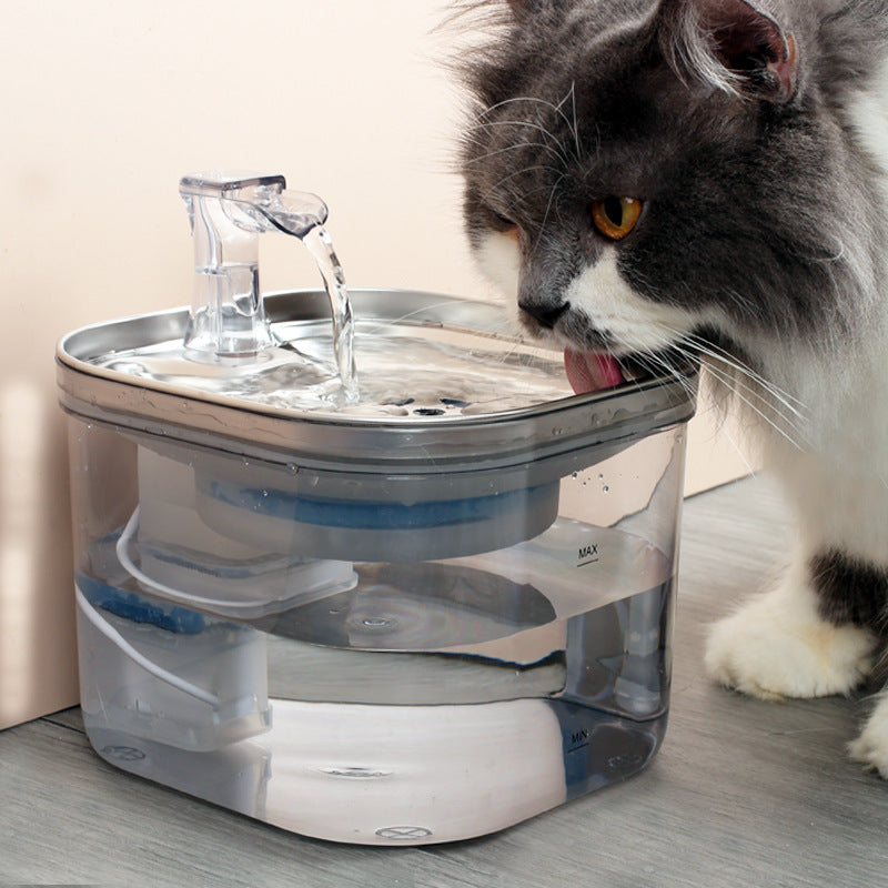 Haustier-Wasserspender
