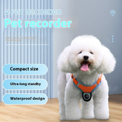 PetCam | Pro Halsband