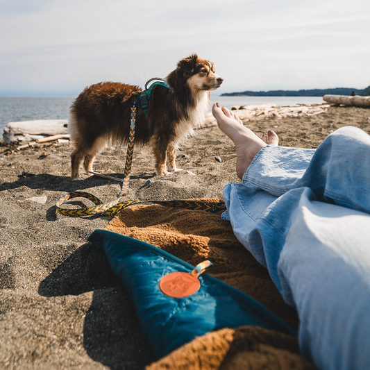 PicnicPal™ | Wasserdichte Picknickdecke
