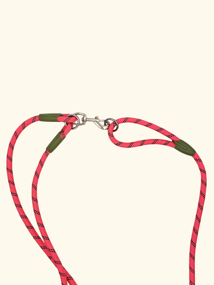 WalkAbout | Freihändige Hundeleine