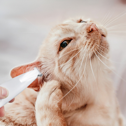 FurLuxe | Mühelose Pflege für perfekte Pfoten