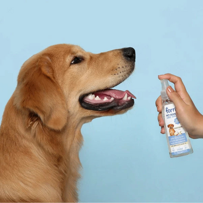 HundeAtem™ | Mundpflegespray