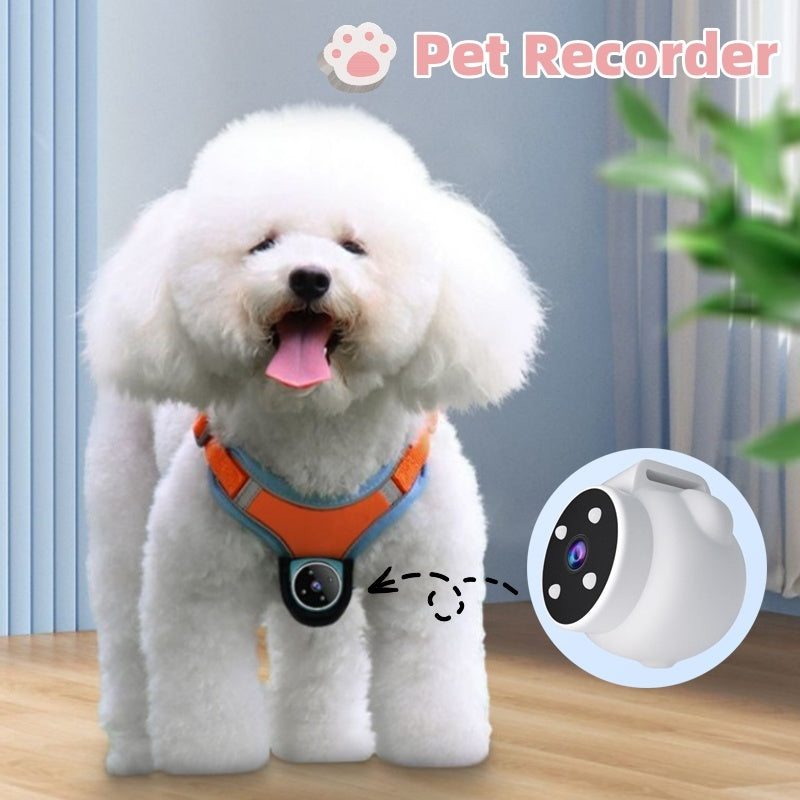 PetCam | Pro Halsband